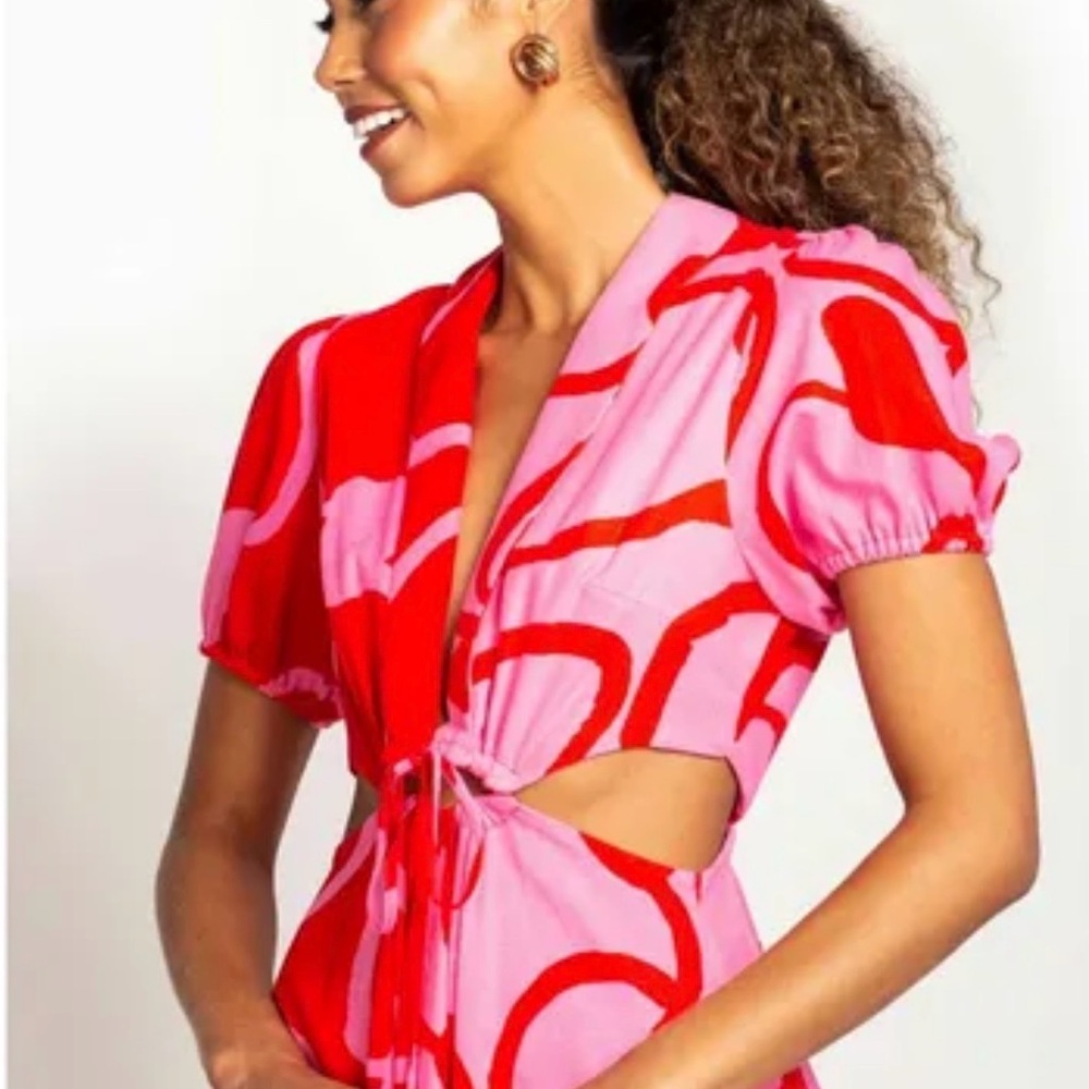 FARM Rio Red and Pink cashews Patterned Dress - Picture 6 of 10